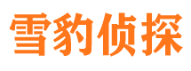 扶风私家调查公司